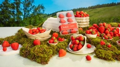 How to enjoy premium Japanese strawberries year-round with Oishii, now available in the GTA