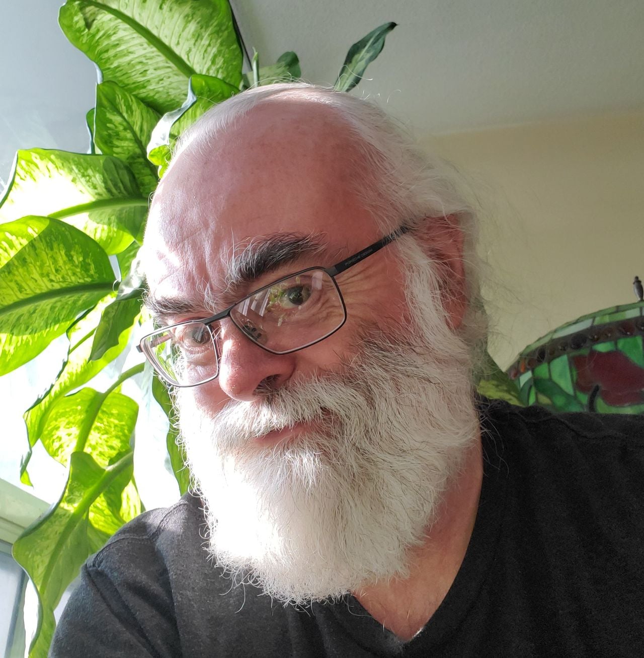 Picture of man with white beard and glasses
