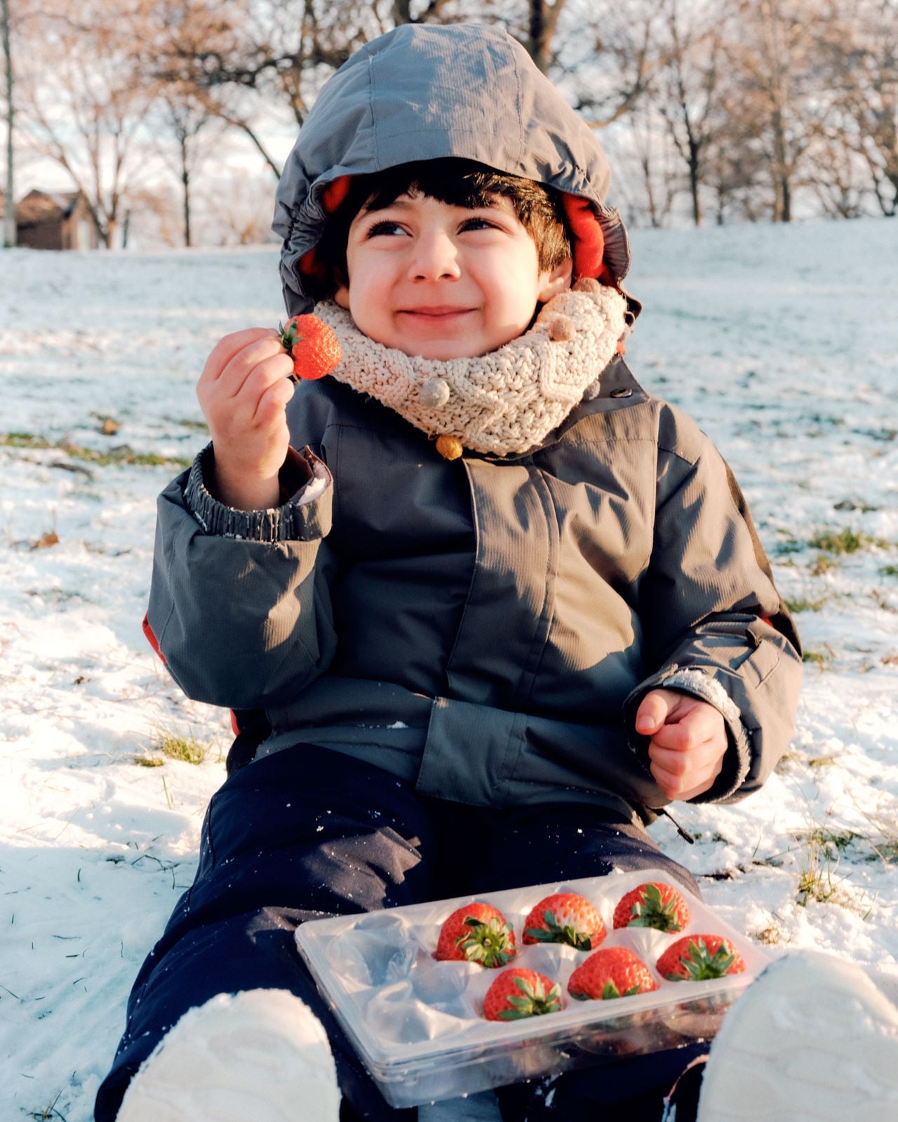 How to enjoy premium Japanese strawberries year-round with Oishii, now available in the GTA