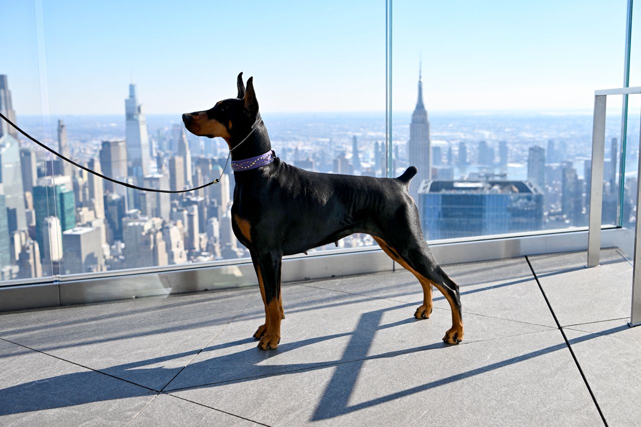 The Westminster Kennel Club Dog Show honoured Catherine O'Hara