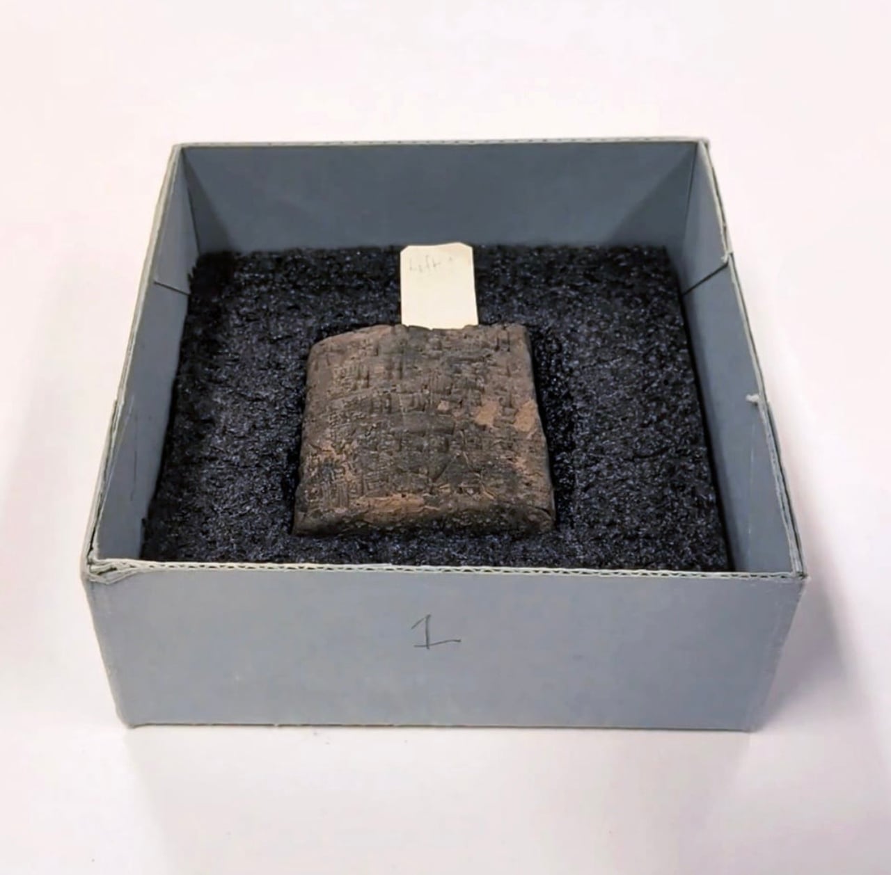 This is the oldest artifact in the Toronto Public Library's research collection