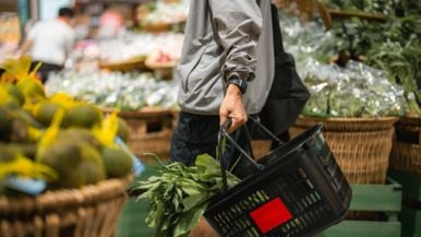 Mamdani-style public grocery stores are coming to Toronto—eventually