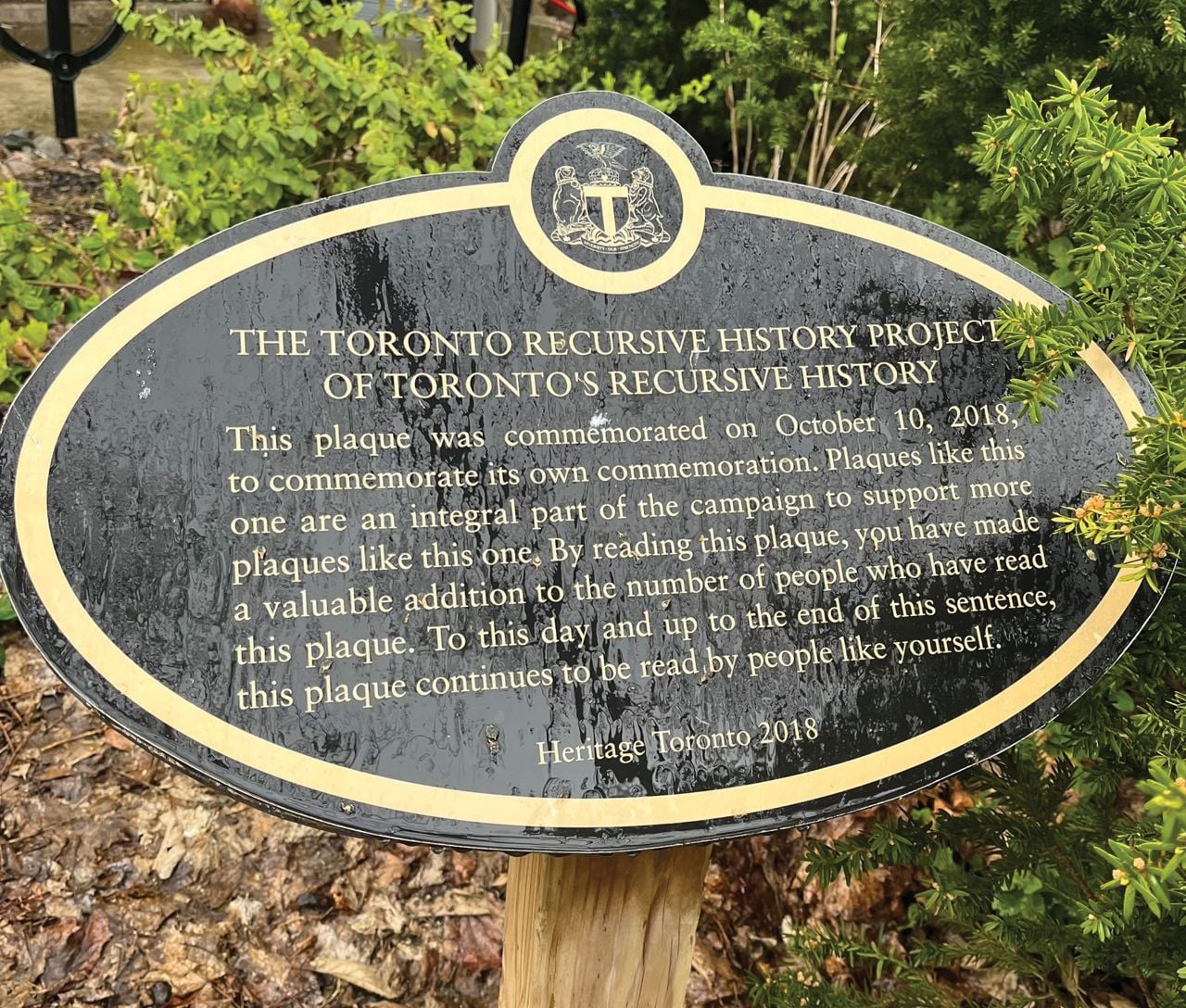Depths of Wikipedia is bringing a live show on the encyclopedia’s weirdest entries to Toronto