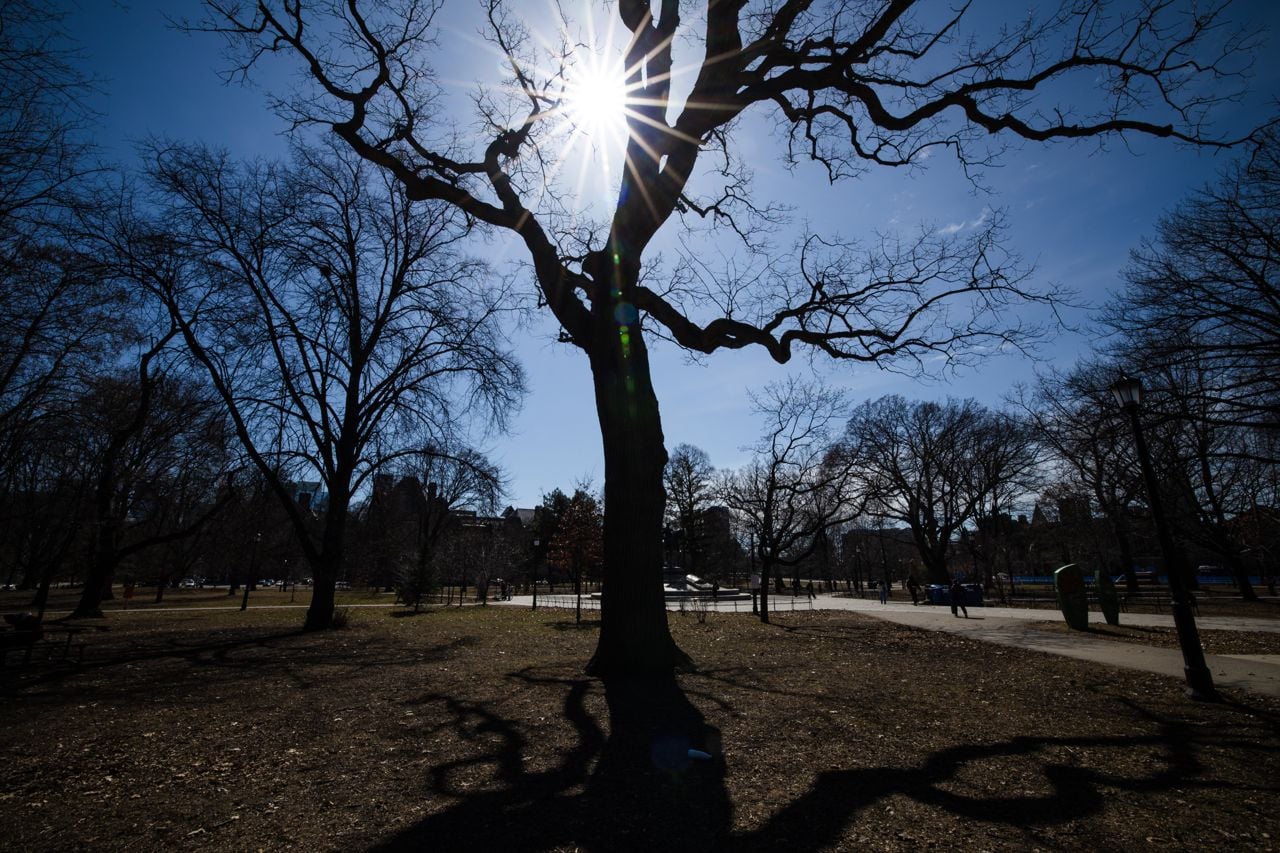 Queen's Park North will likely receive that $50 million from the Weston Family Foundation