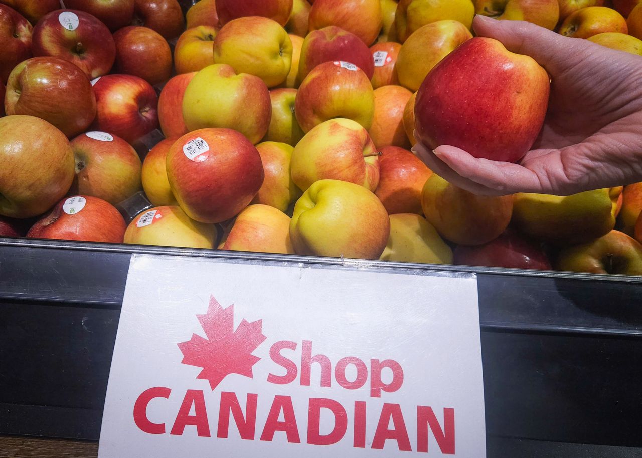 A grocery store display of apples with a large sign reading "Shop Canadian."