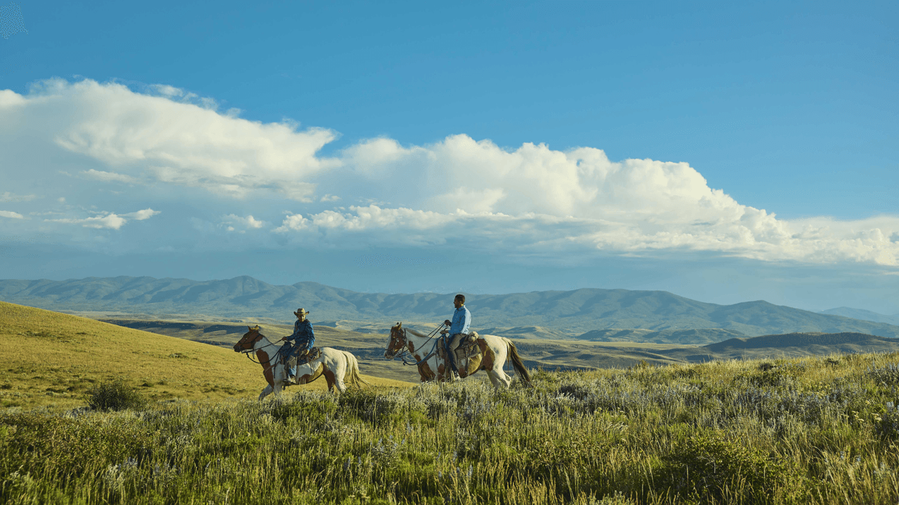 Come to life among the mountains and discover Colorado