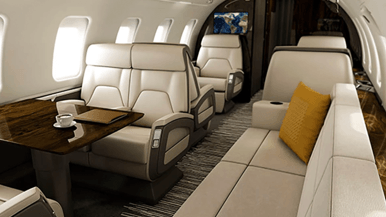 The Ontario government purchased a private jet for $28.9 million