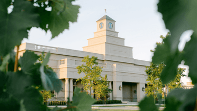 Niagara’s next chapter: Inside the estate redefining wine country in Canada