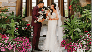 Two dog lovers marry in a lavish five-day canine-friendly celebration