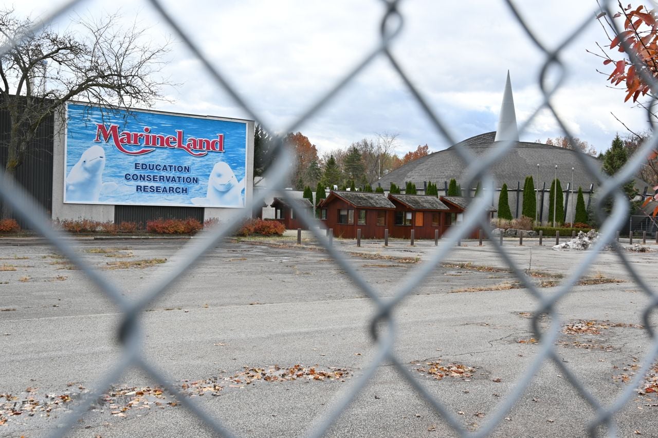 Marineland has allegedly requested up to $20 million in federal funds to relocate its whales