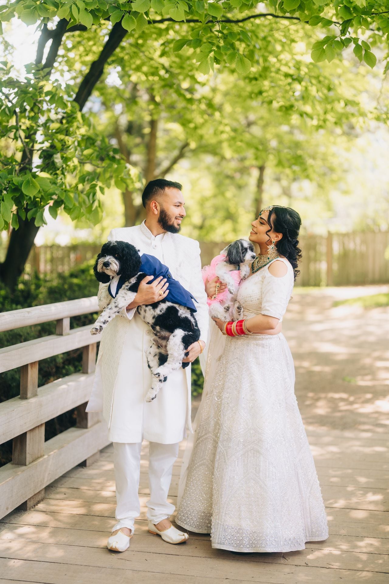 Two dog lovers marry in a lavish five-day canine-friendly celebration