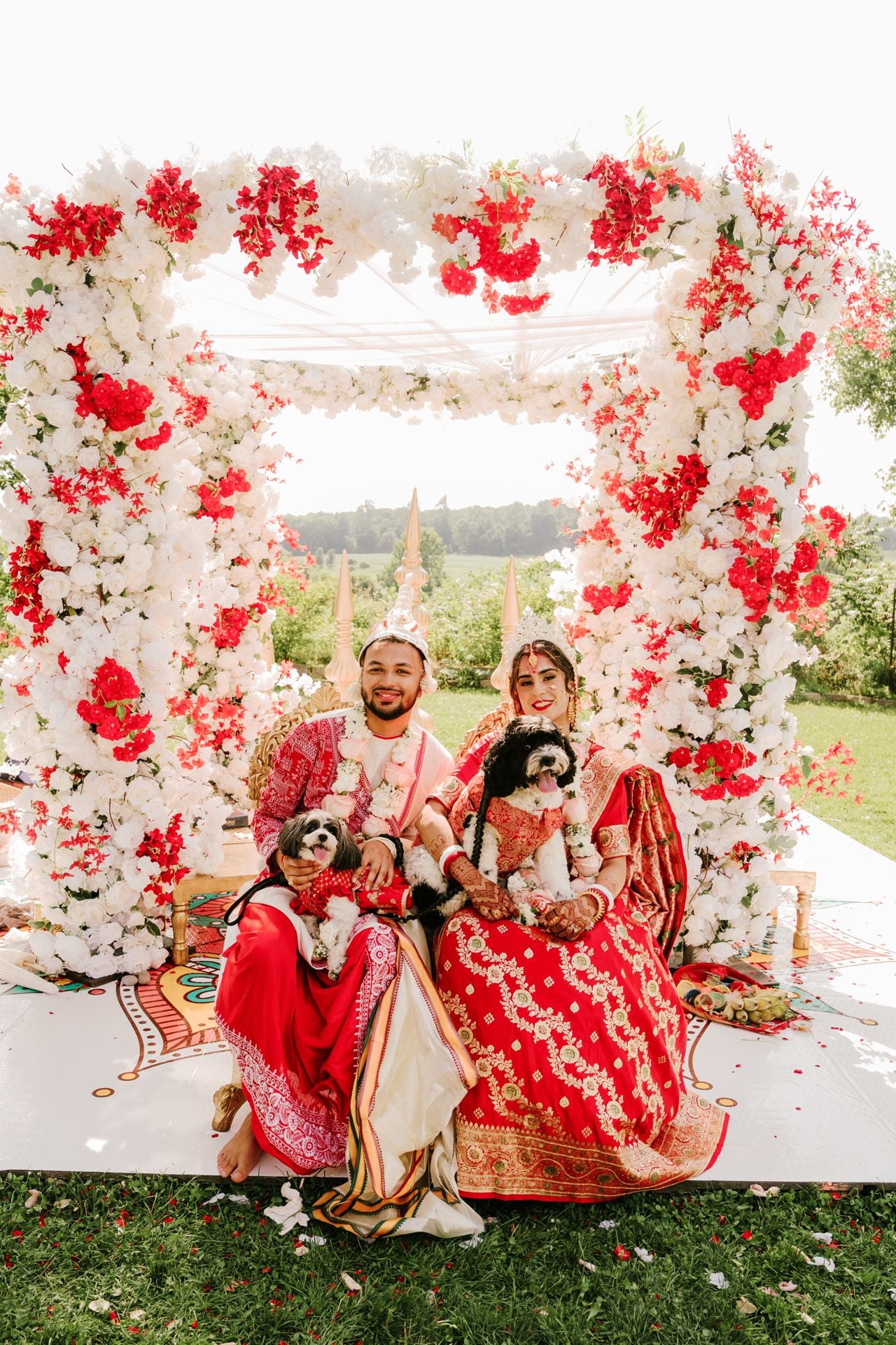Two dog lovers marry in a lavish five-day canine-friendly celebration