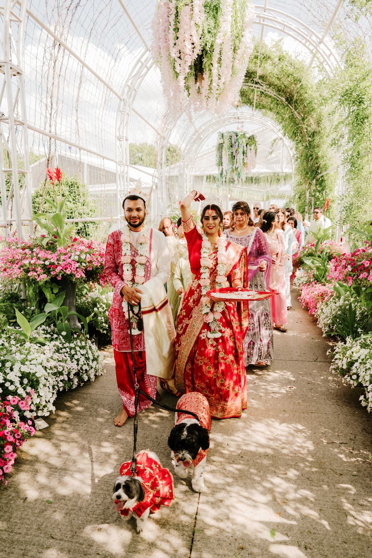 Two dog lovers marry in a lavish five-day canine-friendly celebration