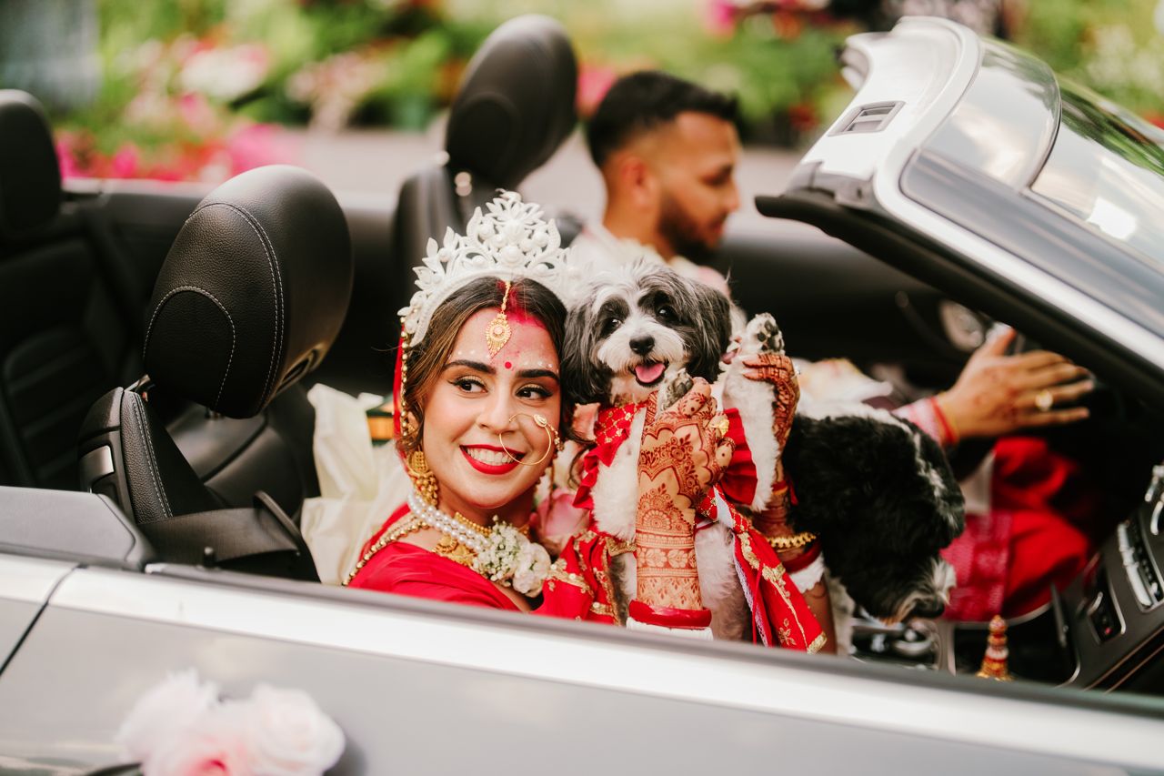 Two dog lovers marry in a lavish five-day canine-friendly celebration