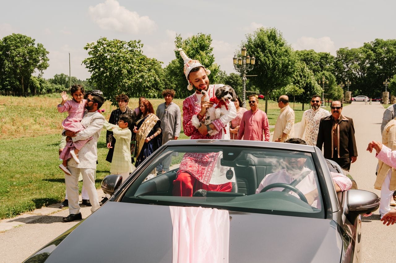 Two dog lovers marry in a lavish five-day canine-friendly celebration