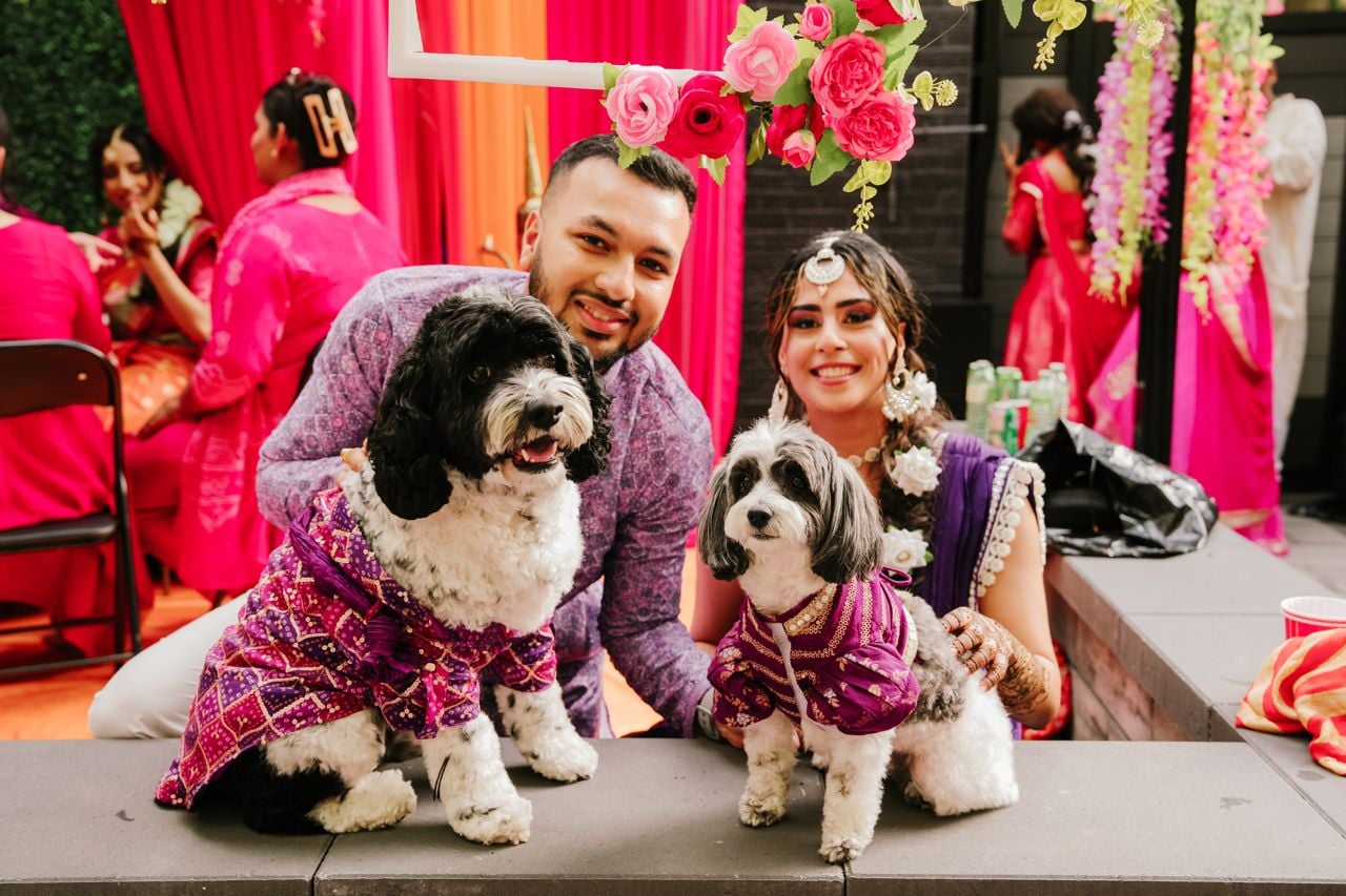 Two dog lovers marry in a lavish five-day canine-friendly celebration