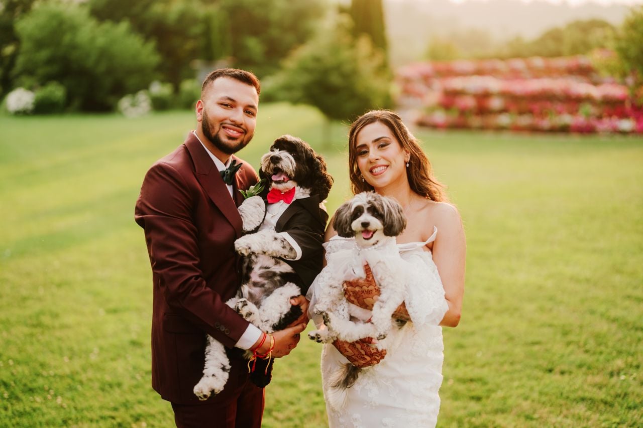 Two dog lovers marry in a lavish five-day canine-friendly celebration