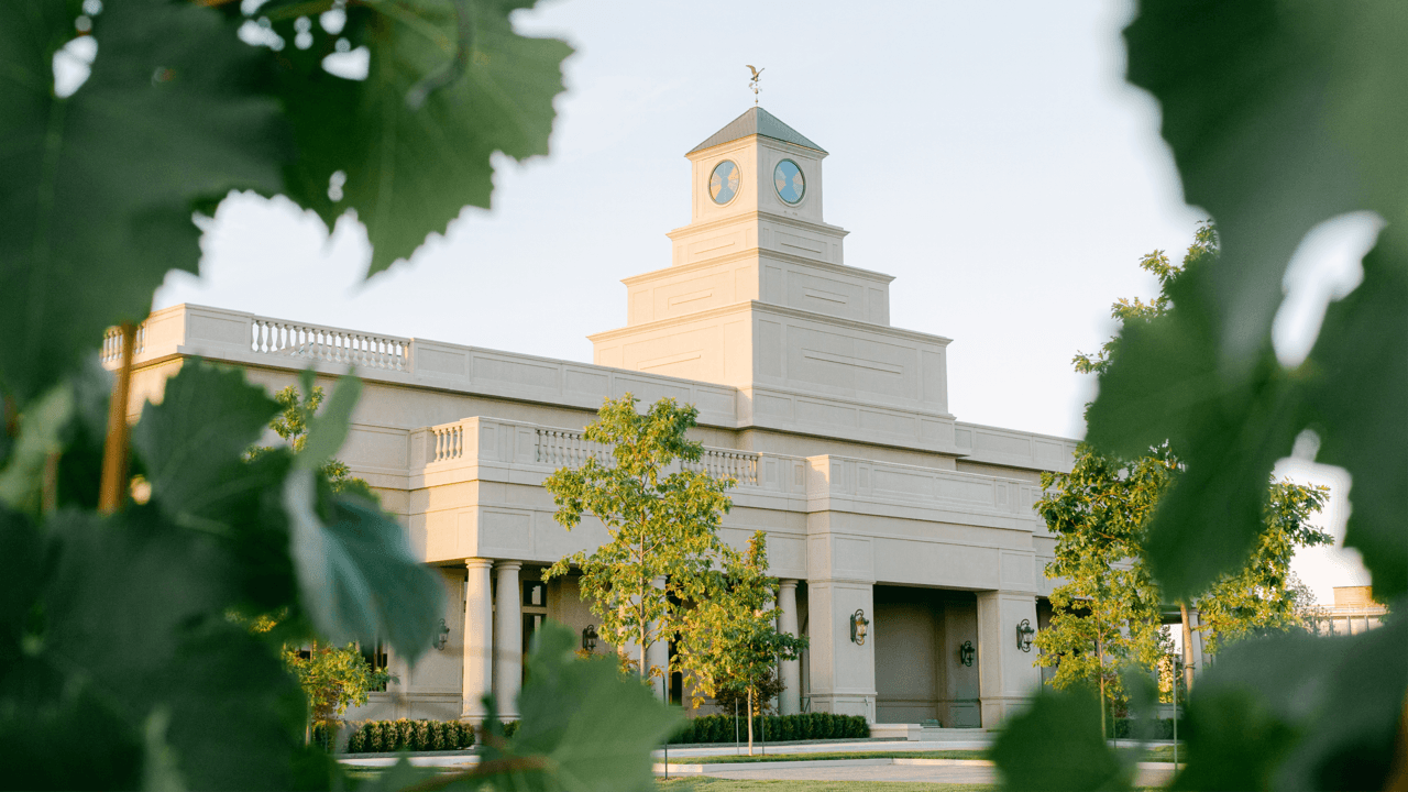 Niagara’s next chapter: Inside the estate redefining wine country in Canada