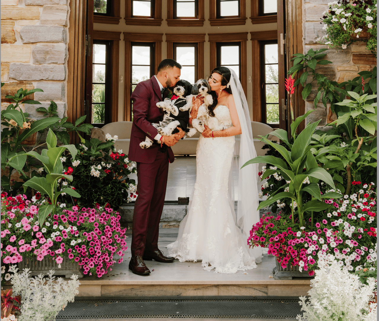 Bride and groom posing with two dogs