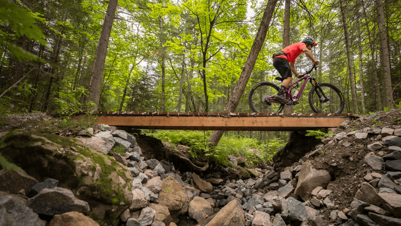 Experience the ultimate Canadian getaway in Sault Ste. Marie