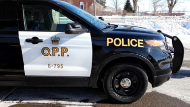 A ServiceOntario employee has been charged in connection to a stolen vehicle investigation