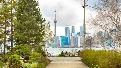 A beloved wildlife program for kids is ending because the TDSB can’t afford it