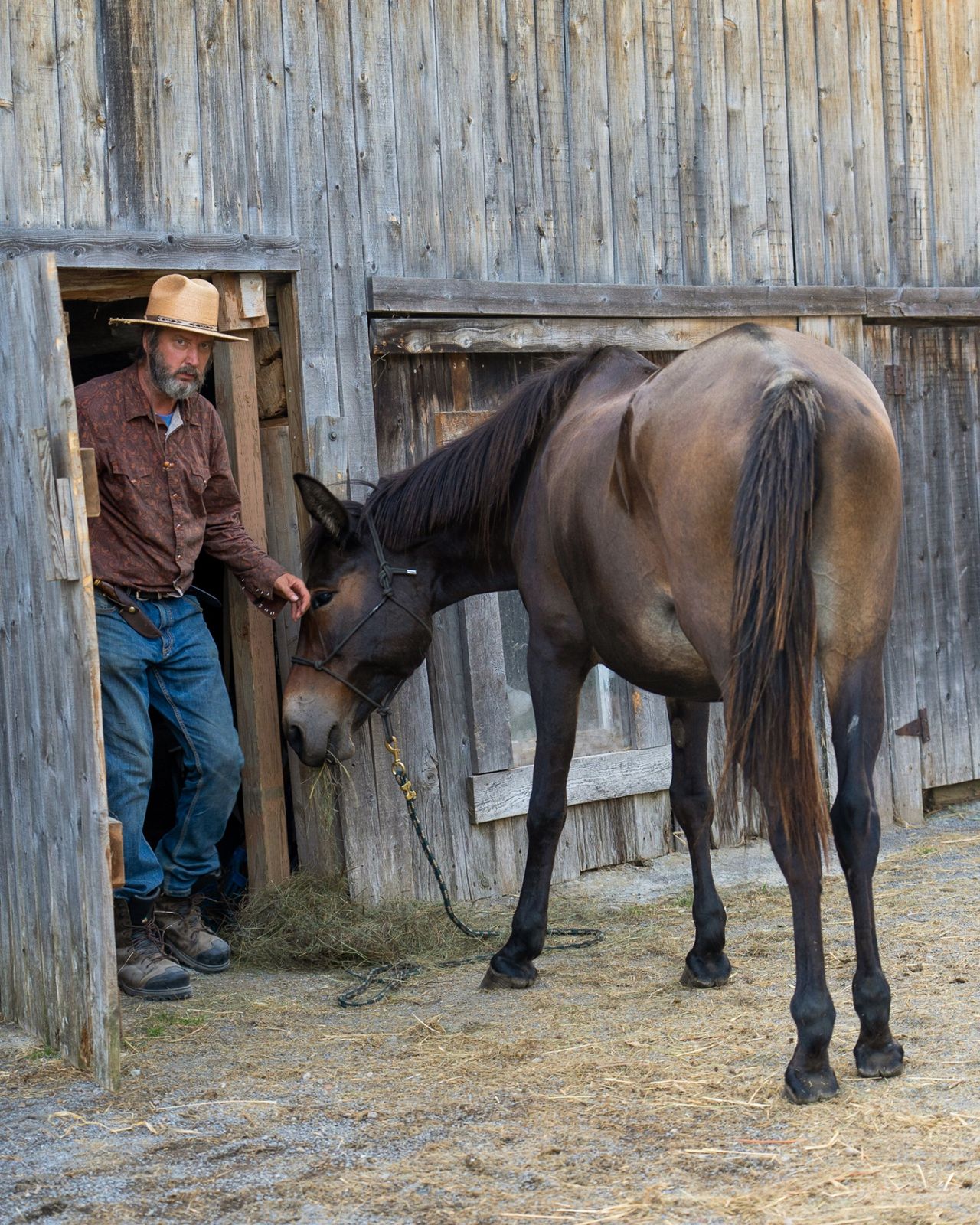 Tom Green with a mule