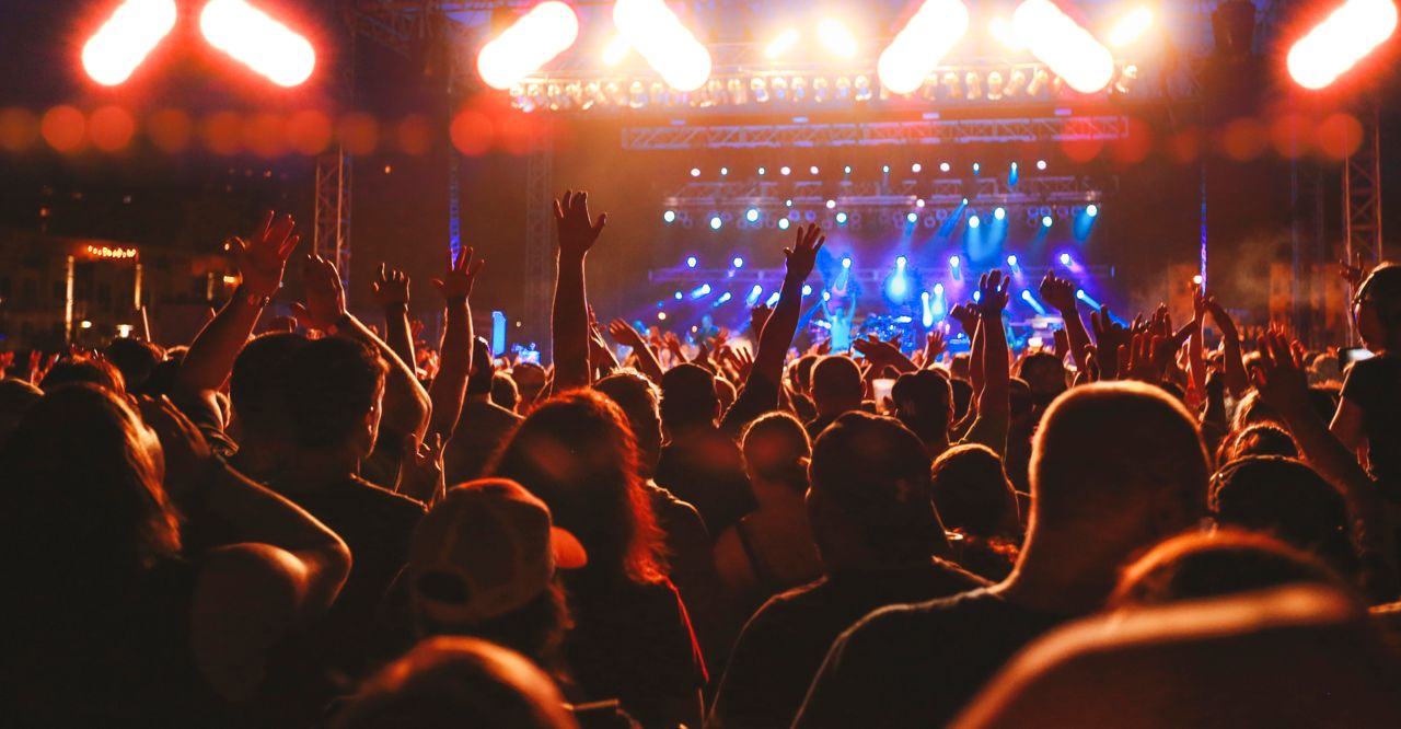Crown rocking out at a concert