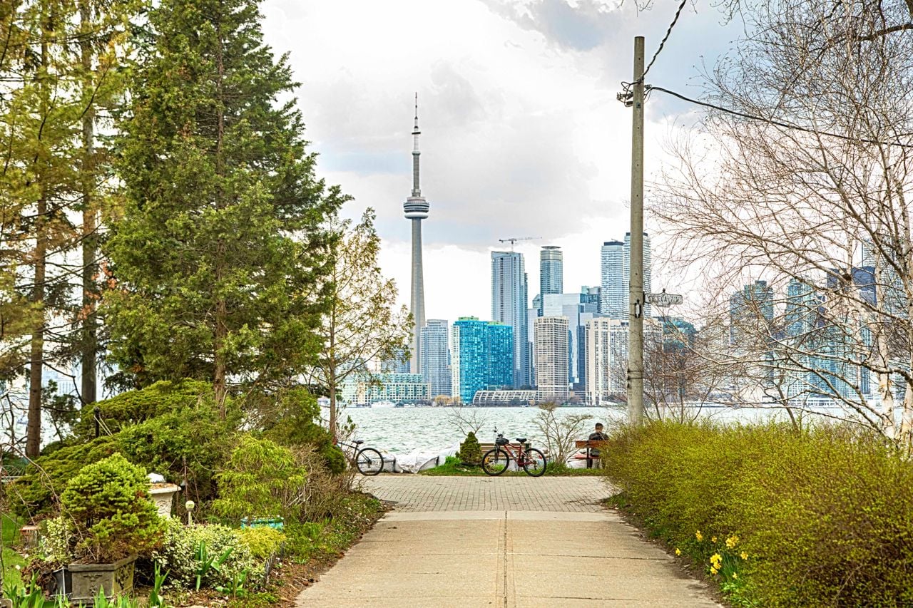 toronto-life-real-estate-tdsb-wildlife-program-budget-cuts-island-schools-1 A beloved wildlife program for kids is ending because the TDSB can’t afford it