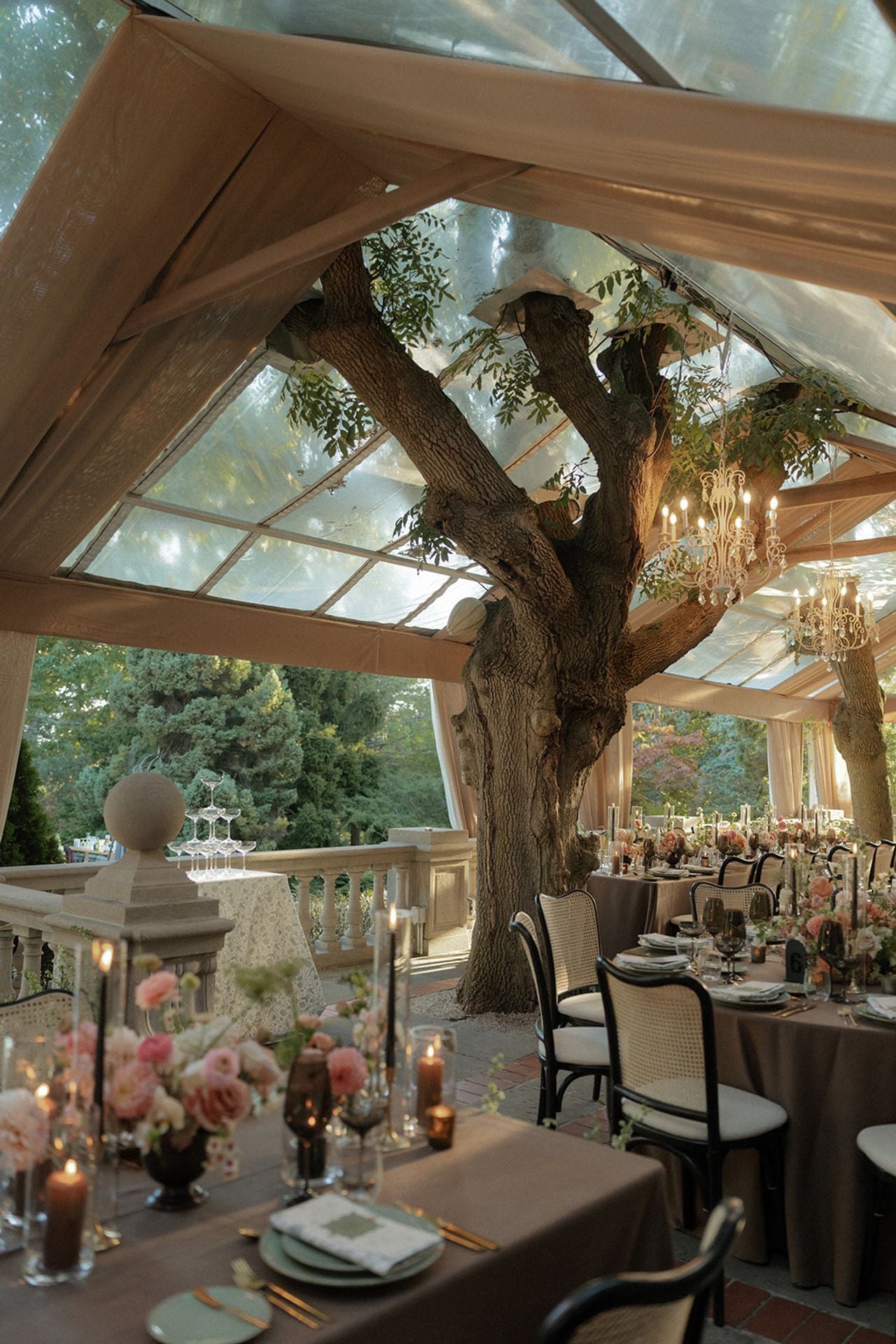 Beautiful dinner table settings