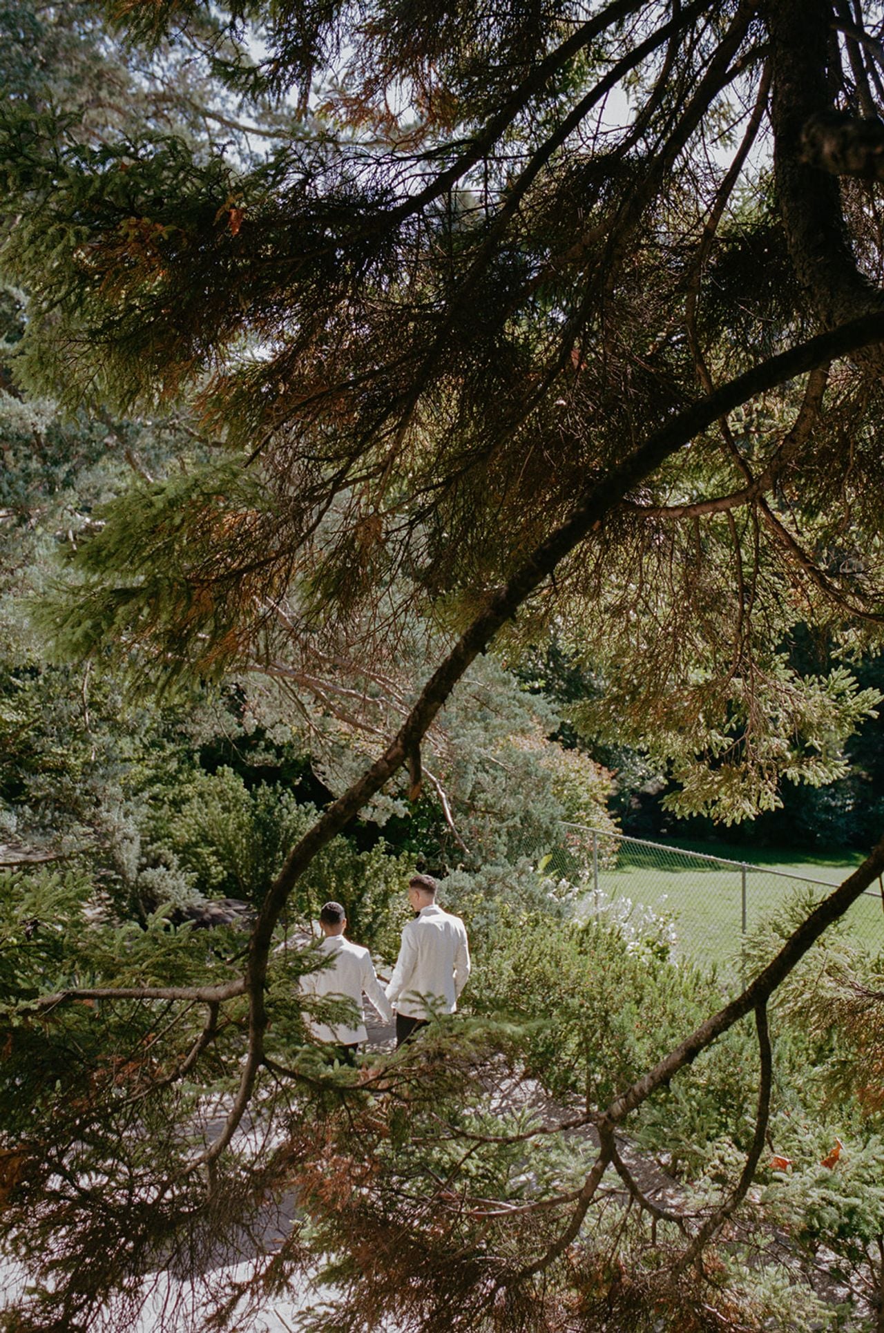 Two men with lots of foliage in the foreground