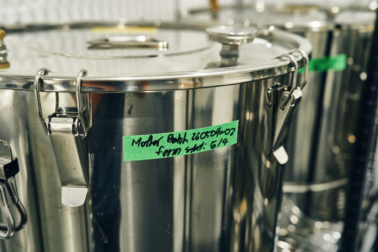 A pot of fermenting makgeolli at Gyopo Brewery
