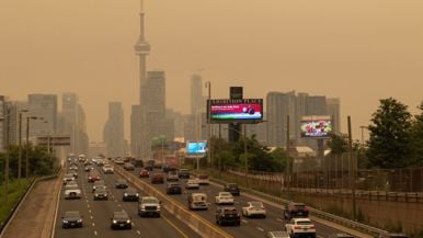 Wildfire smoke continues to make Toronto's air quality “very unhealthy”