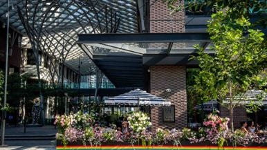 Your summer patio crawl starts at The Well
