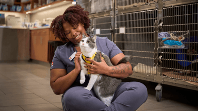 Four ways VEG ER for Pets is revolutionizing emergency veterinary care