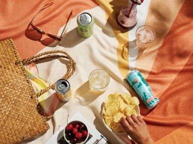 These low-ABV canned cocktails are perfect for extended park hangs