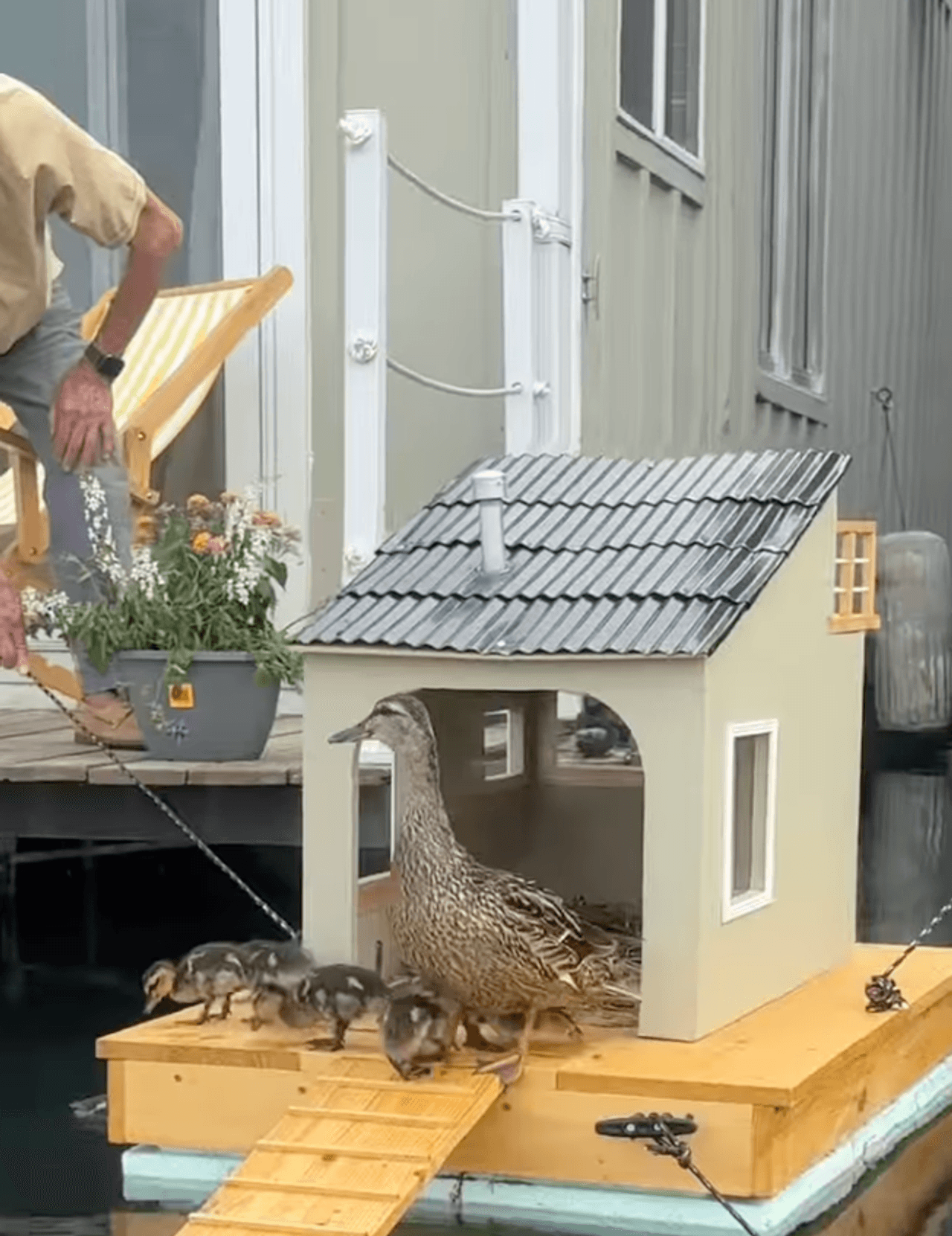 These Bluffer's Park neighbours built an adorable houseboat for ducks