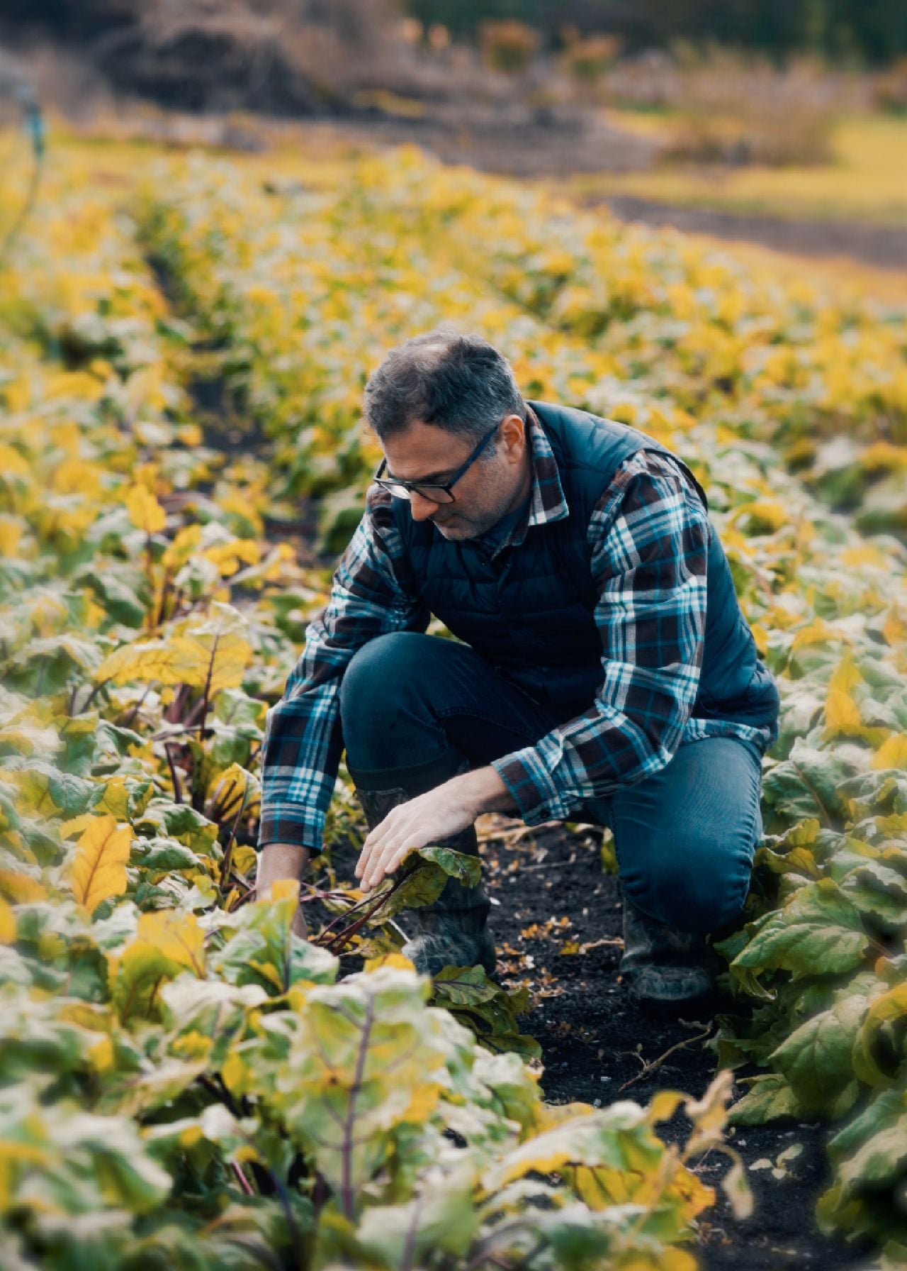 Chef Albert Ponzo in the field