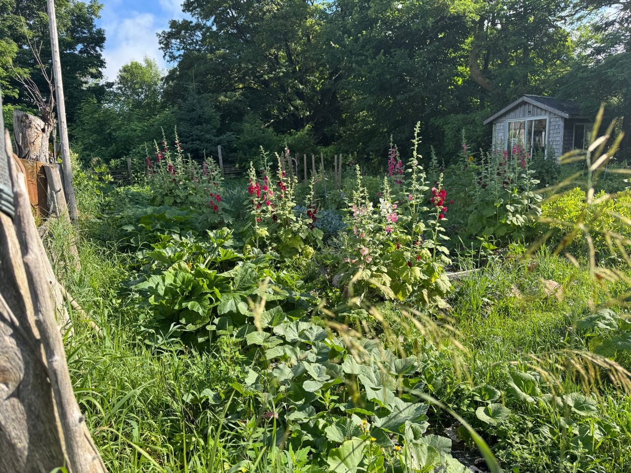 Eigensinn Farm