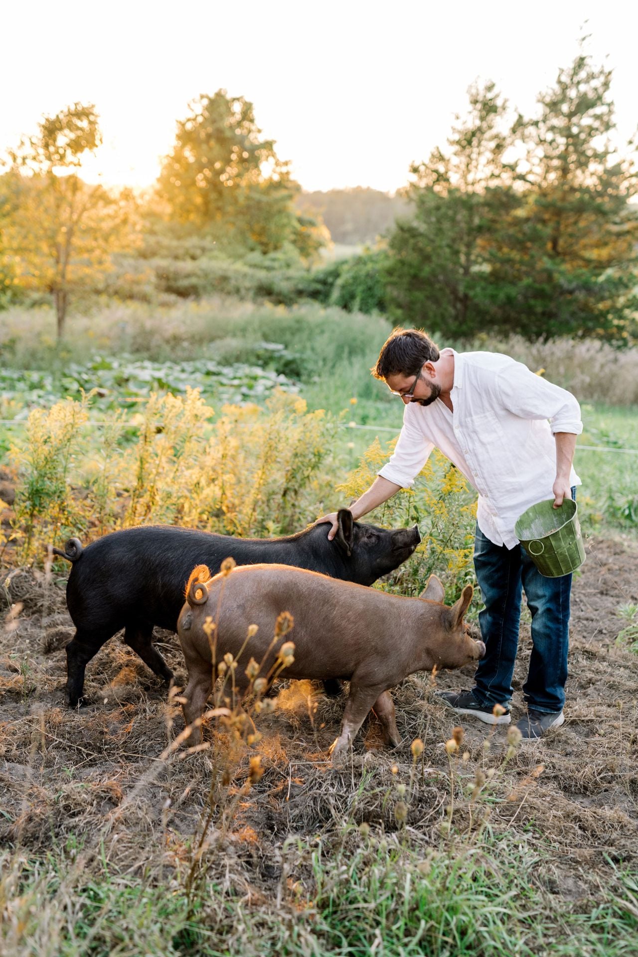Zach Littlejohn and two pigs on Littlejohn Farm