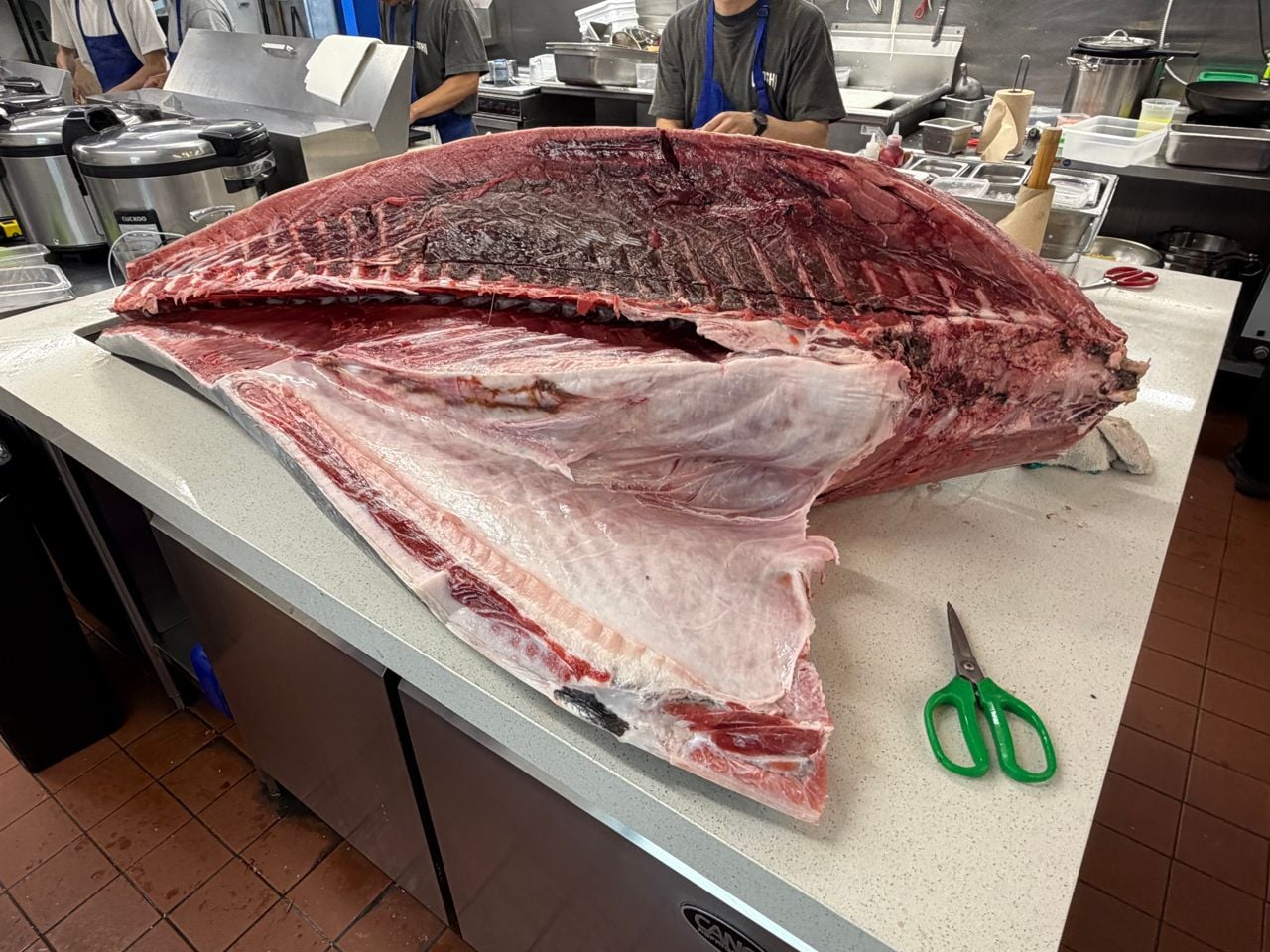 A whole tuna being butchered