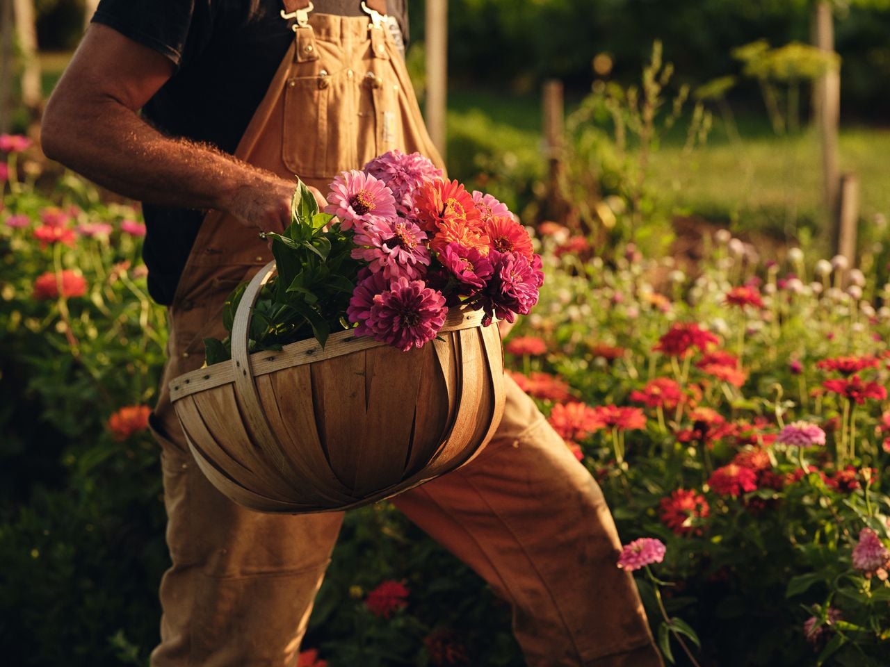 A farmer carries a basket of freshly picked flowers