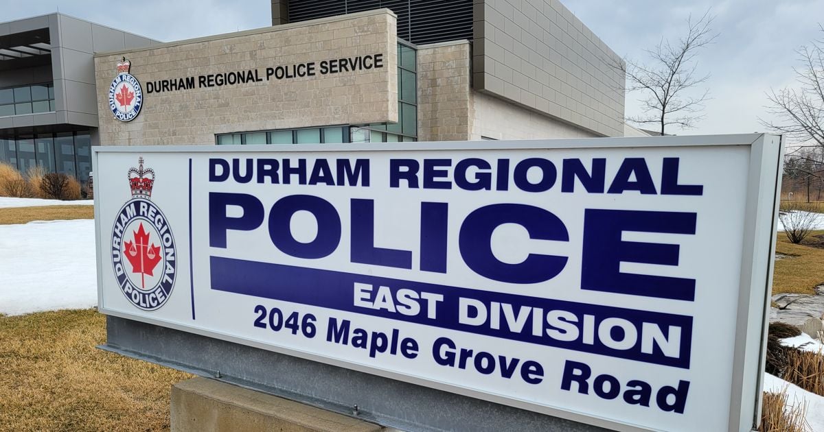 An Ontario dog trainer is accused of operating a million-dollar romance scam - Toronto Life