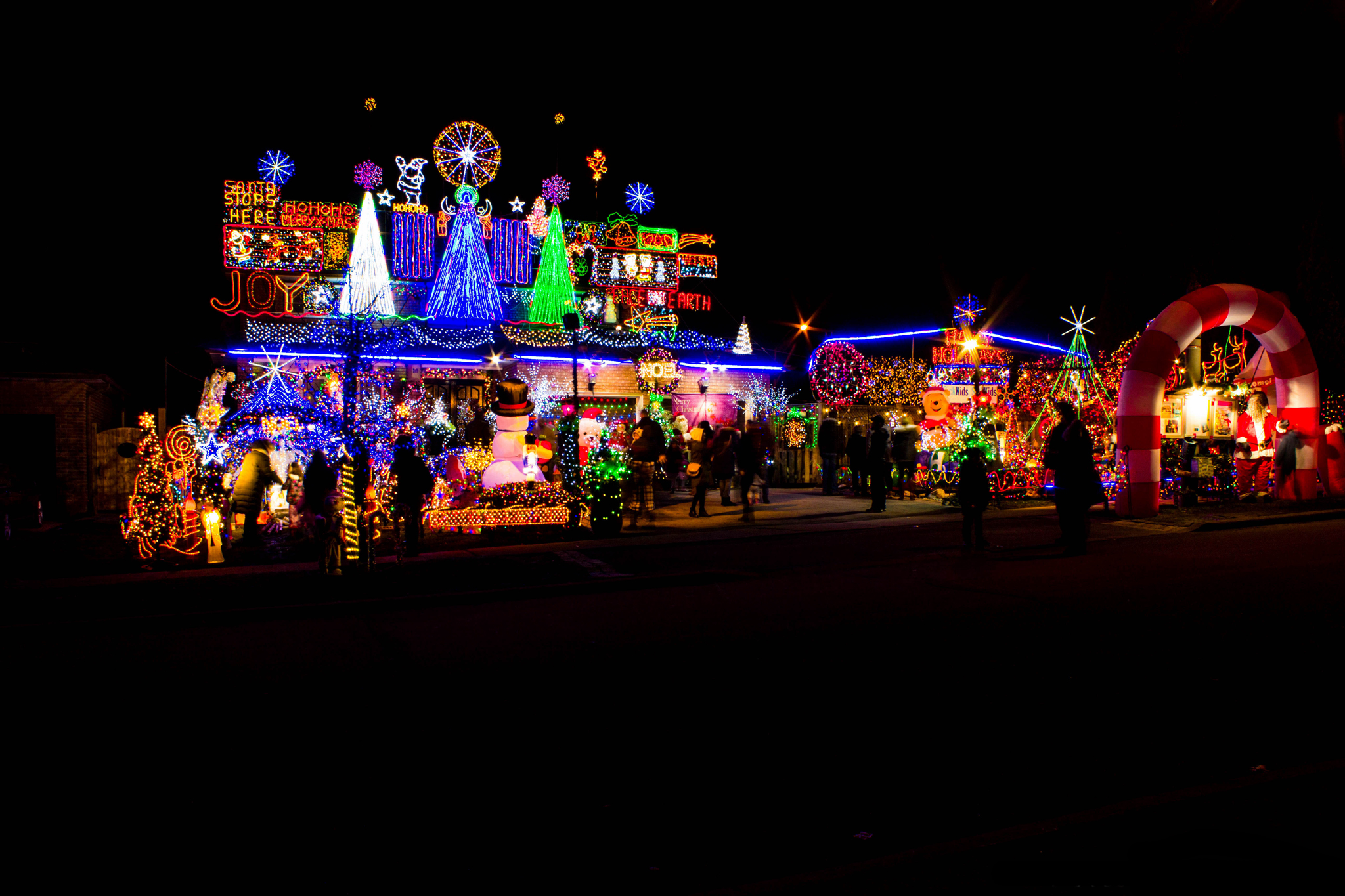 My family's Griswold-calibre holiday ritual - Toronto Life