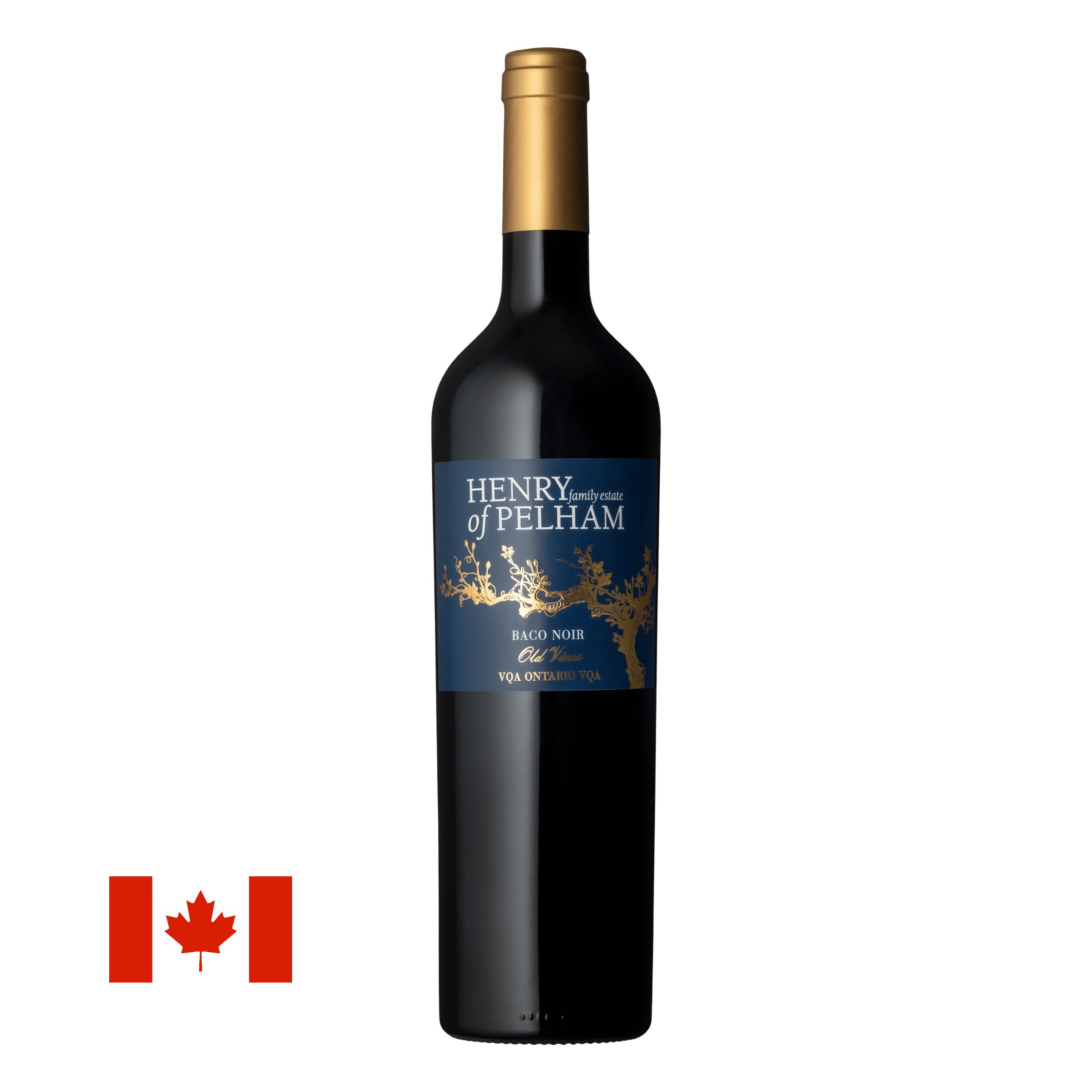 2023 Old Vines Baco Noir