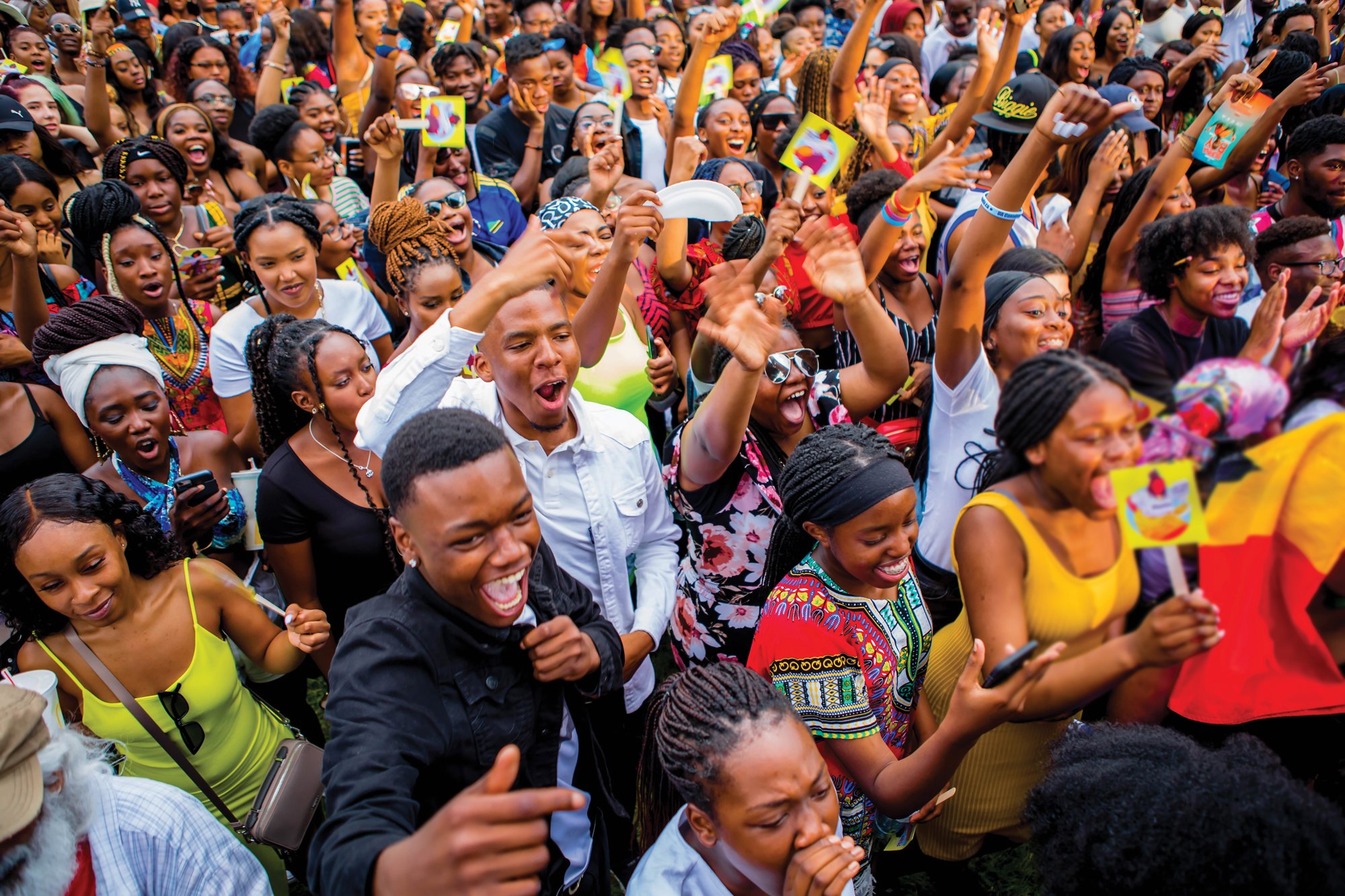 The crowd at Afrofest