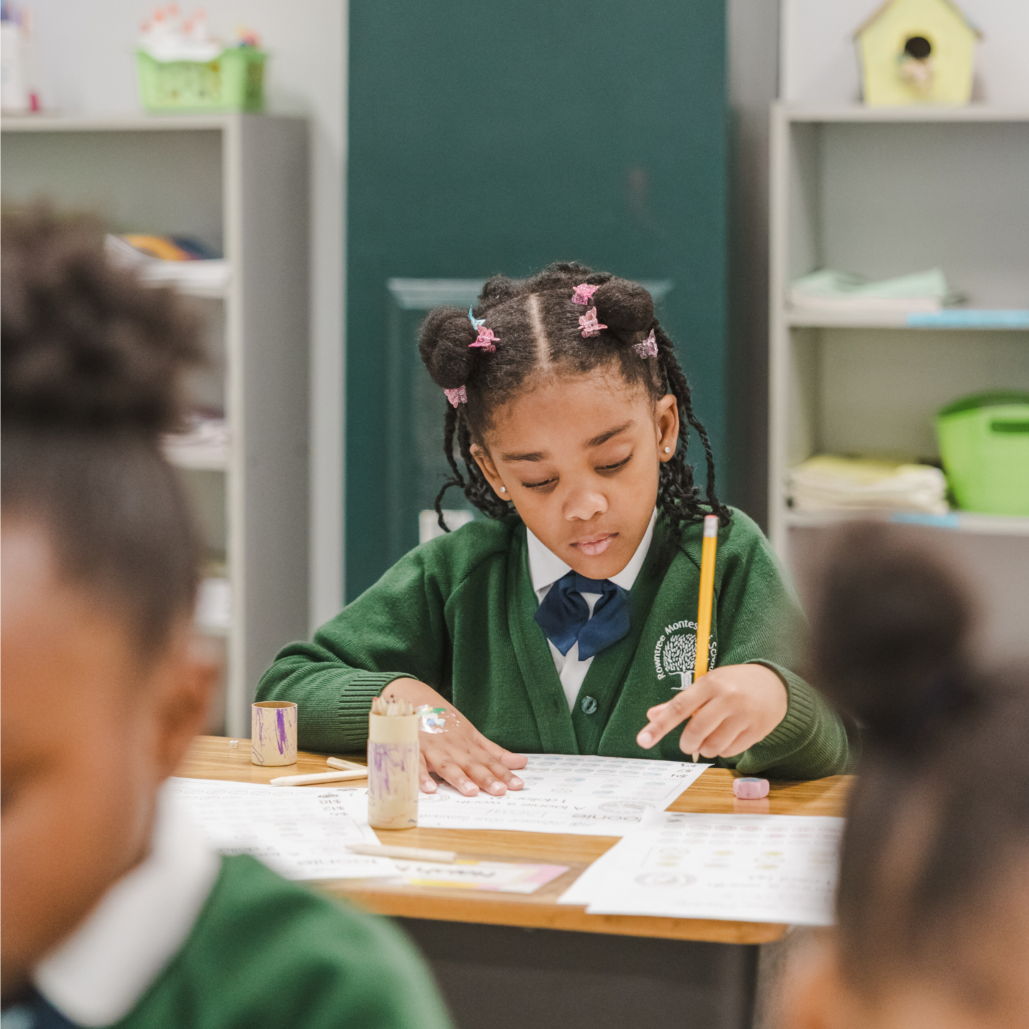 Rowntree Montessori Schools