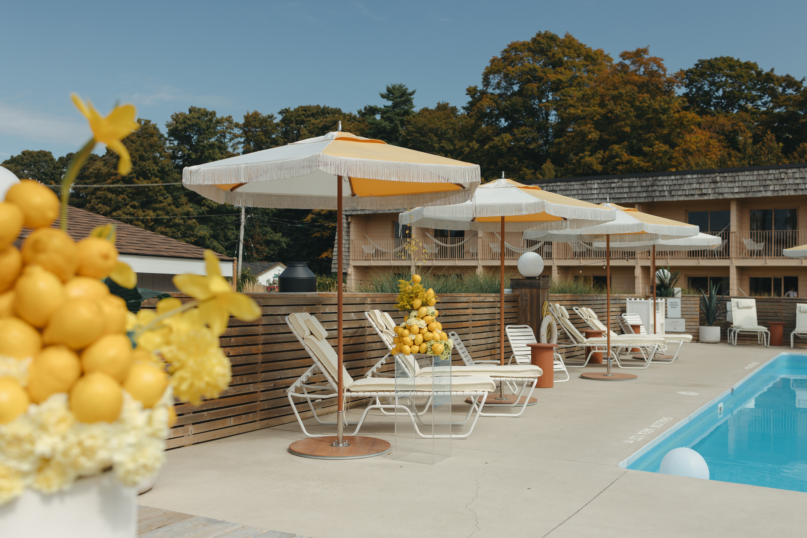 Lounge chair outside of pool