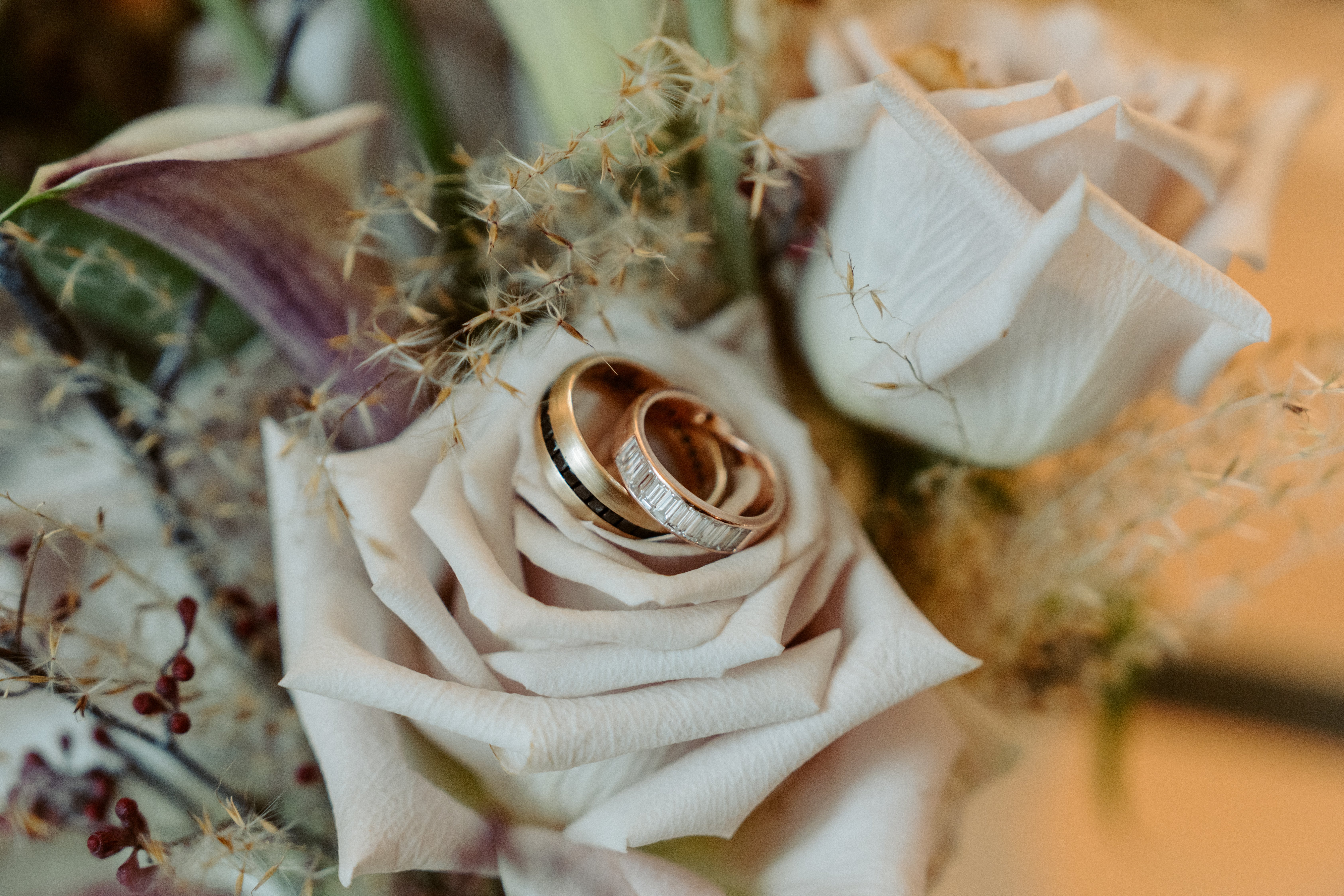 Two rings on top of a rose