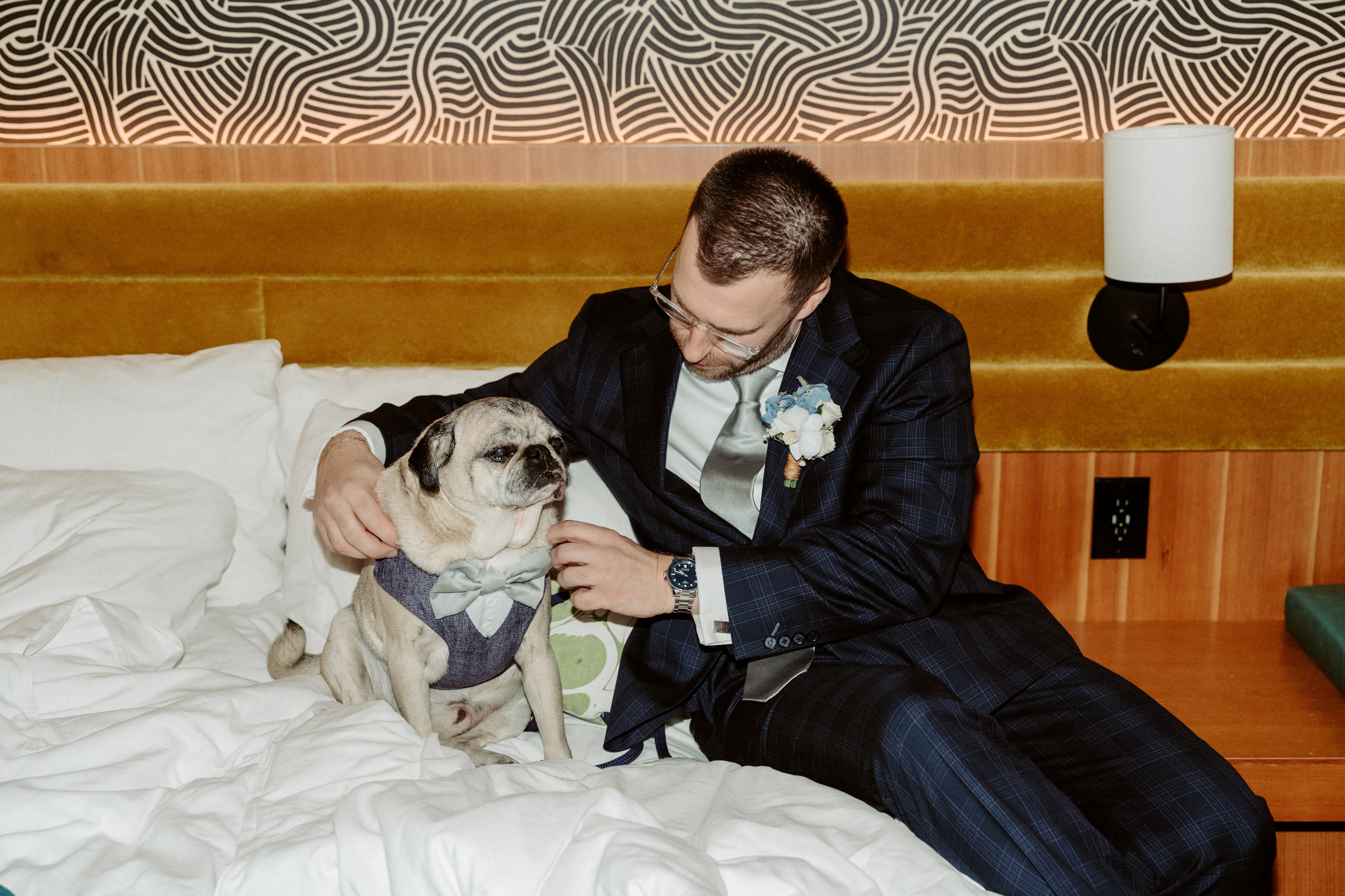 Groom fixing bow tie on dog